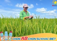 💥💥💥AB CHEMICAL LUÔN ĐỒNG HÀNH CÙNG QUÝ BÀ CON NÔNG DÂN TRÊN MỌI CÁNH ĐỒNG!!!