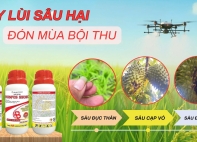 RONFOS 55EC - ĐẨY LÙI SÂU HẠI, ĐÓN MÙA BỘI THU!