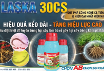 🔥🔥🔥QUÝ NHÀ NÔNG – QUÝ ĐẠI LÝ TÀI LỘC AGRI VÙNG SẦU RIÊNG BÌNH PHƯỚC: QUÁ TUYỆT VỜI & KHÁC BIỆT!!!
