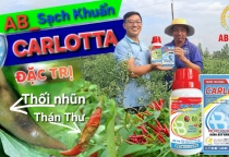 💥💥💥BỘ ĐÔI GIẢI PHÁP AB_SẠCH KHUẨN + CARLOTTA - BẢO VỆ TOÀN DIỆN RAU MÀU, CÂY ĂN TRÁI!!!