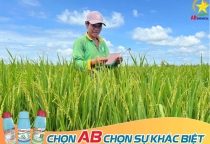 💥💥💥AB CHEMICAL LUÔN ĐỒNG HÀNH CÙNG QUÝ BÀ CON NÔNG DÂN TRÊN MỌI CÁNH ĐỒNG!!!