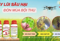 RONFOS 55EC - ĐẨY LÙI SÂU HẠI, ĐÓN MÙA BỘI THU!