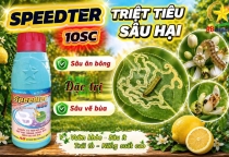 💥💥💥SPEEDTER 10SC – TRIỆT TIÊU SÂU HẠI, BẢO VỆ MÙA VỤ!!!