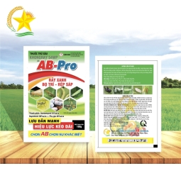 Ab Pro ( khongray 54WP)