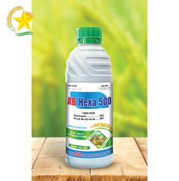 AB Hexa 500