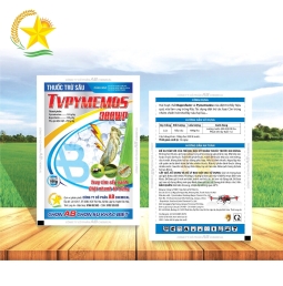 TVBYMEMOS 300WP