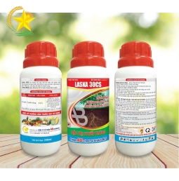 LASKA 30CS