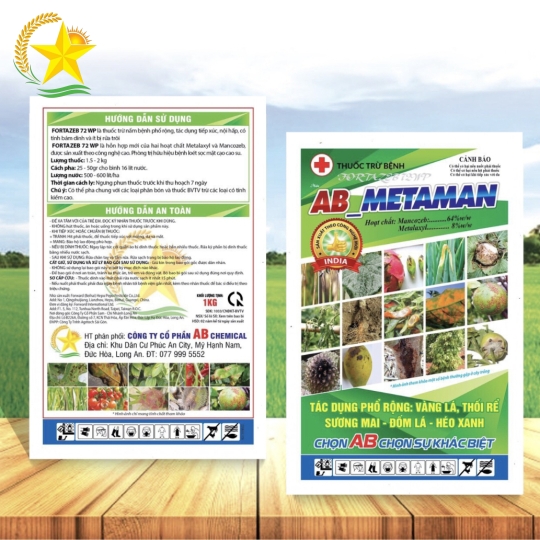 Ab Metaman