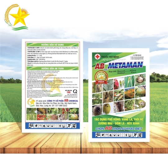 Ab Metaman