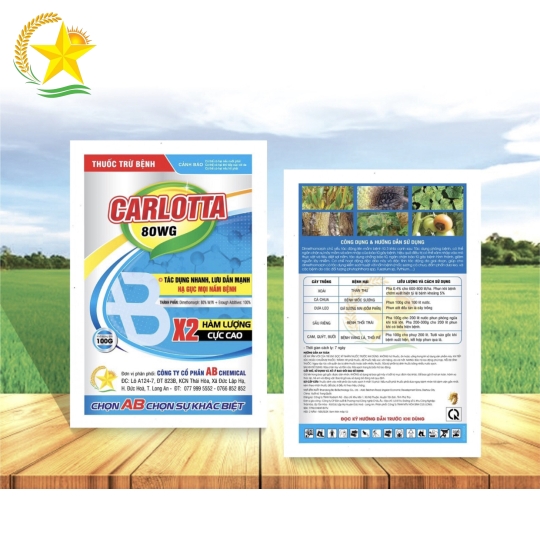 Carlotta 80WG